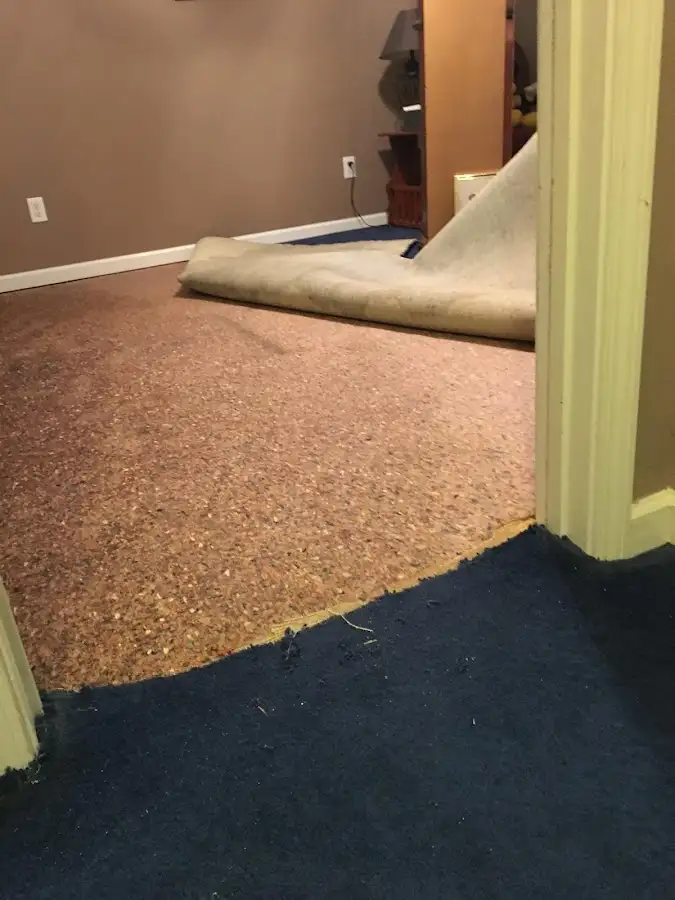 Carpet pad removal revealing water damage during Water Mitigation Services in Du Quoin