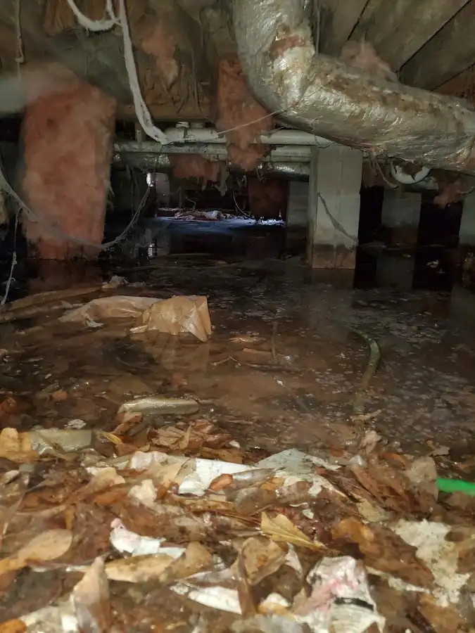 Crawl space flood assessment for Commercial Water Damage Restoration in Du Quoin