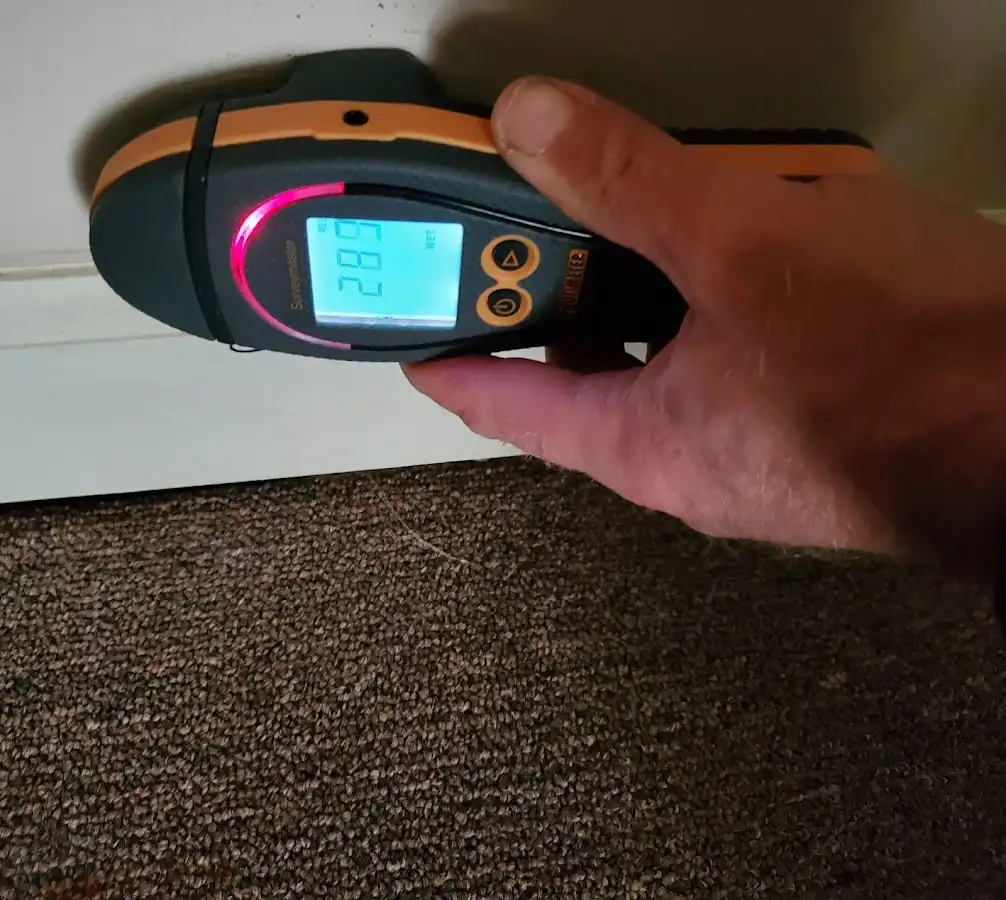Moisture detection at baseboard during Mold Inspection & Testing in Du Quoin